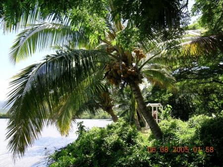 gallery_12903_2987_155850.jpg