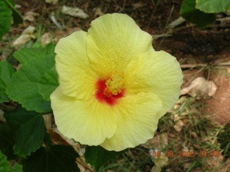 gallery_12903_2987_36860.jpg