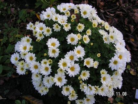 gallery_1786_950_158820.jpg
