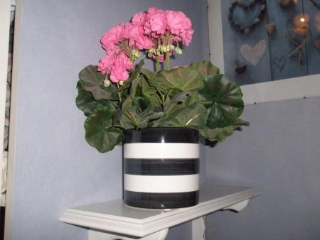 gallery_4441_2833_1127.jpg