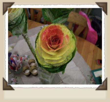 gallery_7440_28_11443.jpg