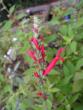 tn_gallery_1786_950_17560.jpg