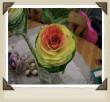 tn_gallery_7440_28_11443.jpg