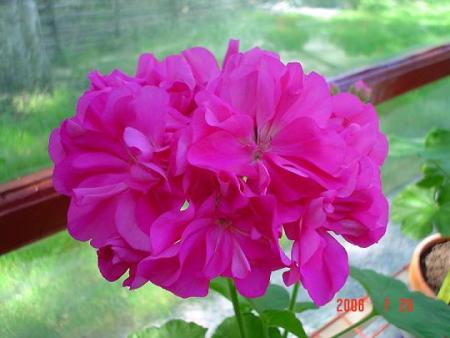 gallery_13170_2840_31910.jpg