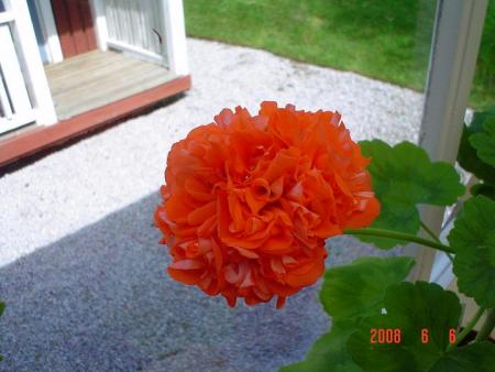 gallery_13170_2840_59788.jpg