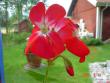 tn_gallery_13170_2840_38496.jpg
