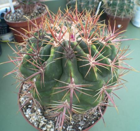 gallery_19740_2997_14429.jpg
