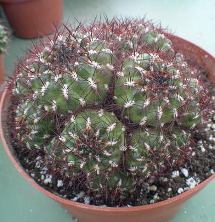 gallery_19740_2997_101266.jpg