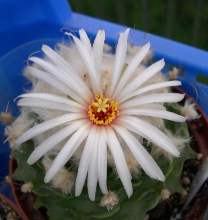 gallery_19740_2997_146324.jpg
