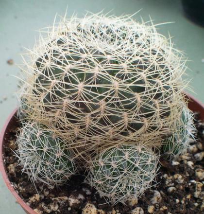 gallery_19740_2997_54747.jpg