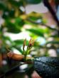 tn_gallery_10947_664_87376.jpg