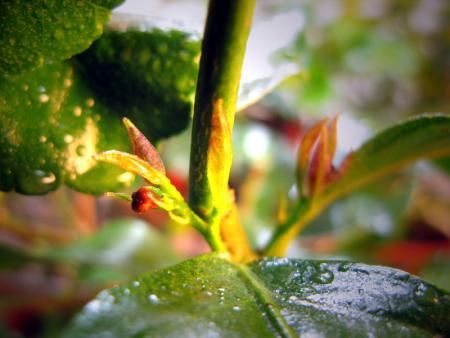 gallery_10947_664_109223.jpg