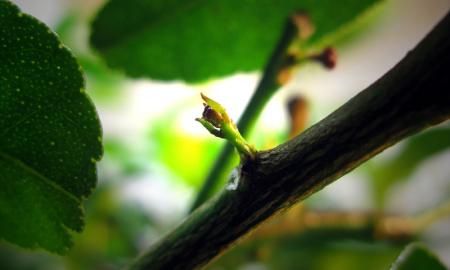 gallery_10947_664_18768.jpg
