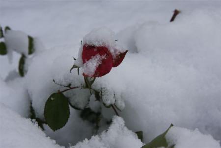 gallery_9317_2391_2730.jpg
