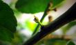 tn_gallery_10947_664_18768.jpg