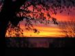 tn_gallery_2529_1143_14743.jpg