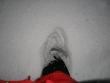 tn_gallery_4441_2833_43720.jpg