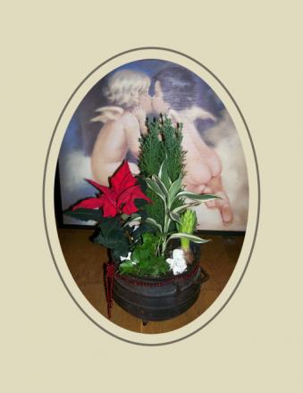 gallery_7440_2880_19275.jpg