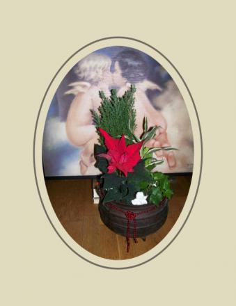 gallery_7440_2880_2214.jpg