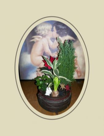 gallery_7440_2880_6285.jpg