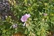 tn_gallery_13106_3016_18473.jpg