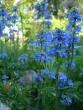 tn_gallery_72_3021_5583.jpg