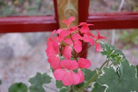 gallery_13170_2840_33592.jpg