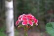 tn_gallery_13170_2840_32155.jpg