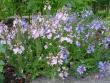 tn_gallery_72_3021_121772.jpg