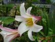 tn_gallery_72_3021_12822.jpg