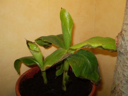 gallery_20026_3033_73225.jpg