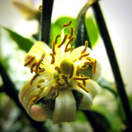 gallery_10947_664_64090.jpg
