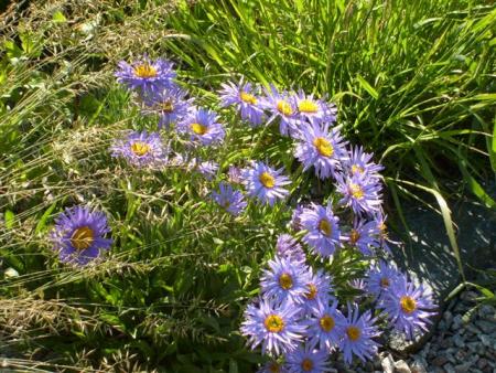 gallery_13106_3016_10991.jpg