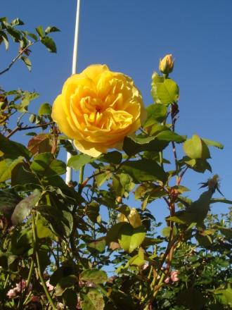 gallery_2985_1331_145048.jpg