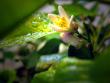 tn_gallery_10947_664_16321.jpg