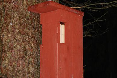 gallery_10896_3041_9513.jpg