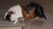 tn_gallery_2529_1144_6254.jpg