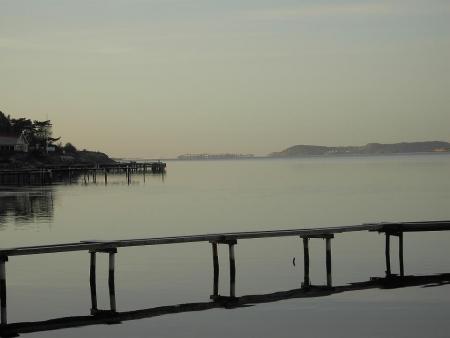 gallery_12962_3037_10833.jpg
