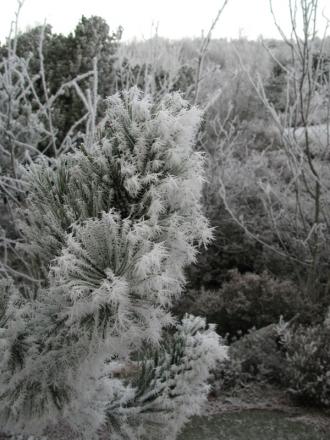 gallery_10406_1863_264117.jpg