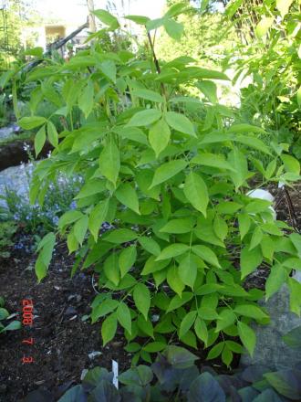 gallery_72_3021_167505.jpg