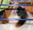 tn_gallery_2529_1144_32624.jpg