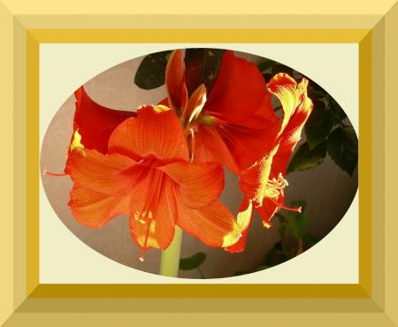 gallery_16329_2984_34156.jpg