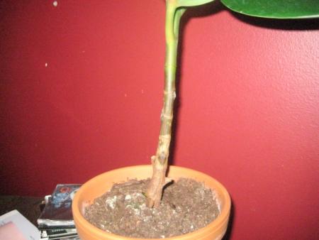 gallery_18468_3068_14007.jpg
