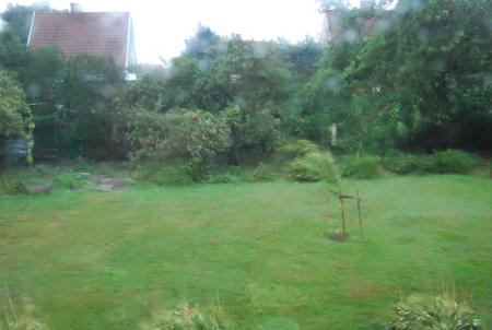 gallery_19840_3070_29490.jpg