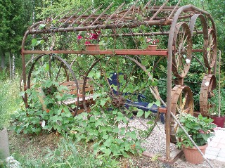 gallery_20306_23_48815.jpg