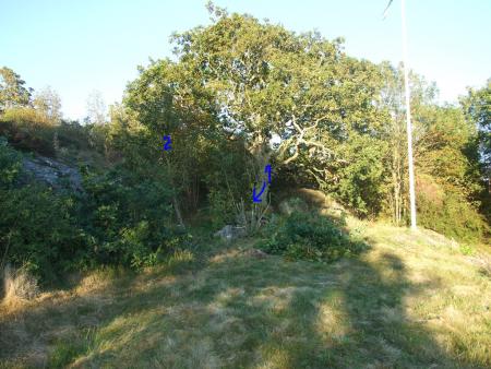 gallery_20369_3081_61416.jpg