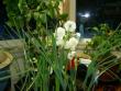 tn_gallery_3363_3091_4546.jpg