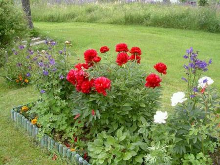 gallery_3363_3089_41849.jpg