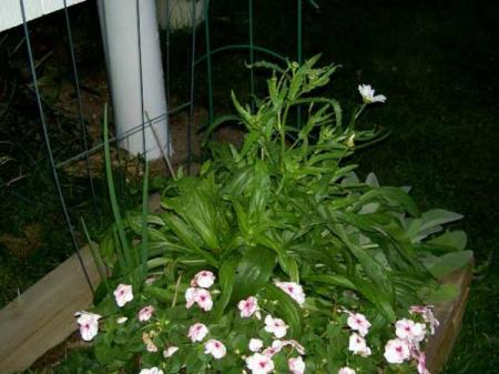 gallery_3363_3089_43217.jpg