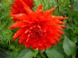 tn_gallery_3363_3087_4835.jpg